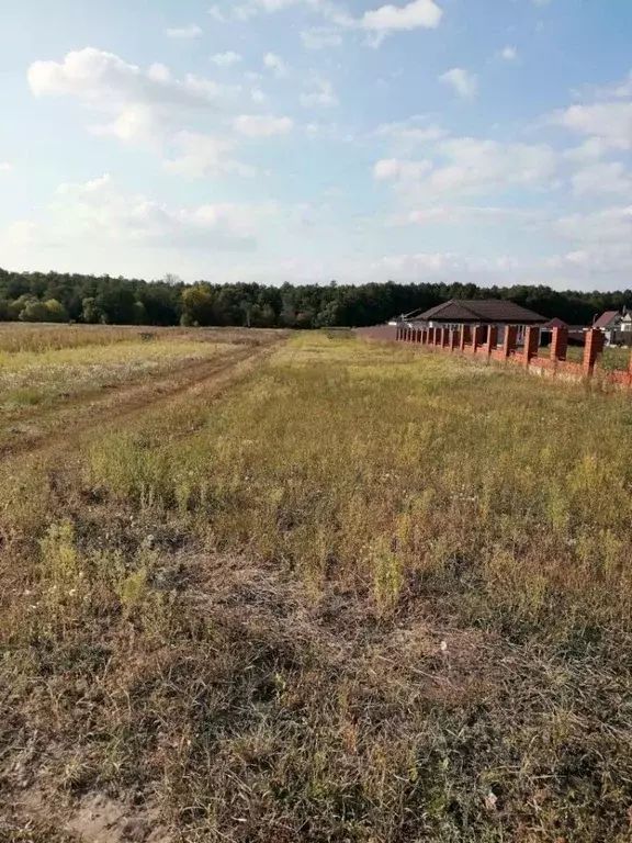 Участок в Белгородская область, Старооскольский городской округ, с. ... - Фото 2
