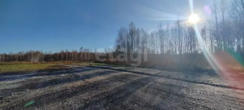 Участок в Тюменская область, Нижнетавдинский муниципальный округ, ... - Фото 1