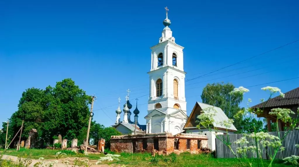 Участок в Владимирская область, Собинский муниципальный округ, с. ... - Фото 1