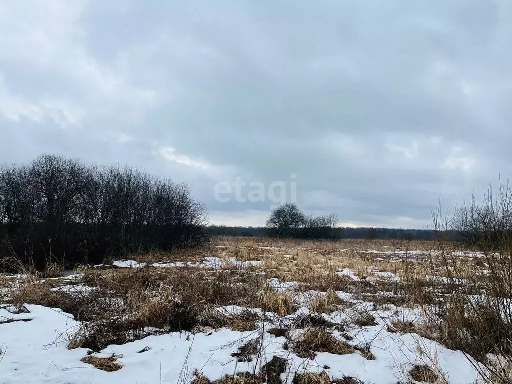 Участок в Ярославская область, Ярославский муниципальный округ, ... - Фото 0