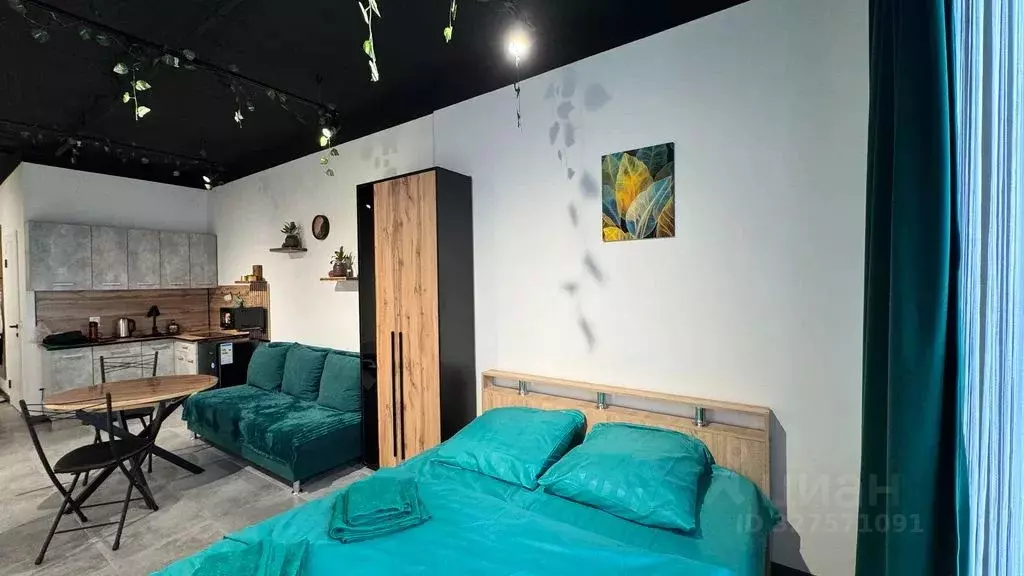 Студия Башкортостан, Уфа ул. Менделеева, 137 (26.0 м) - Фото 2