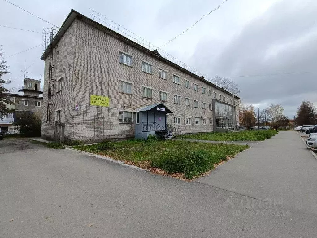 Помещение свободного назначения в Кировская область, Омутнинск ул. ... - Фото 1