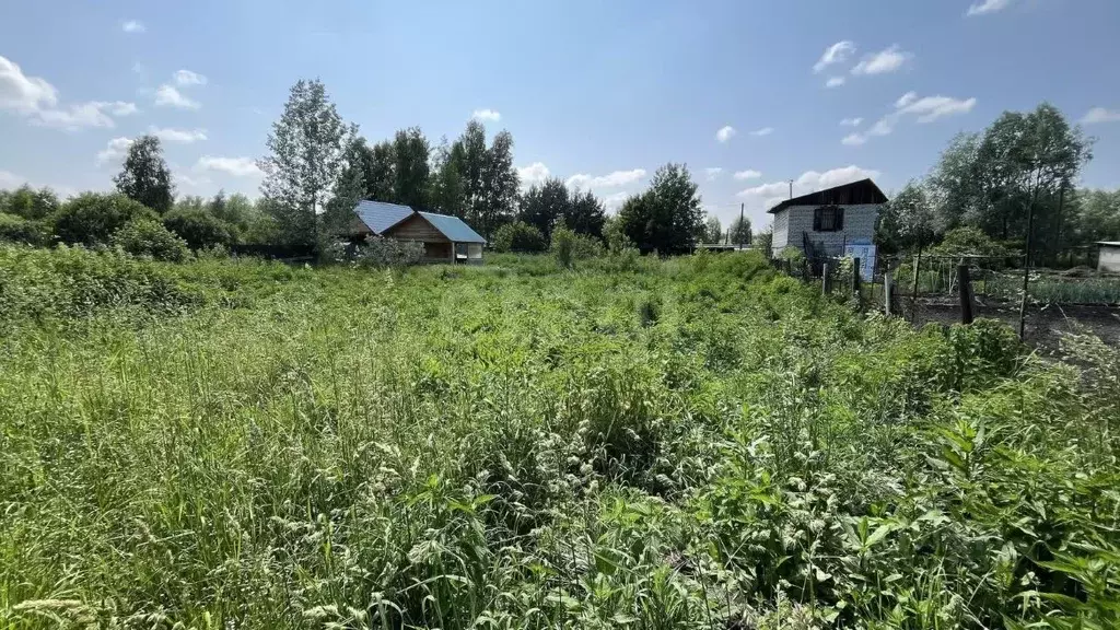 Участок в Алтай, Майминский район, с. Майма ул. Ленина (5.43 сот.) - Фото 0