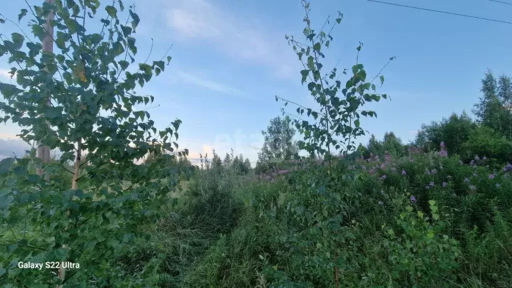 Участок в Свердловская область, Горноуральский городской округ, с. ... - Фото 1