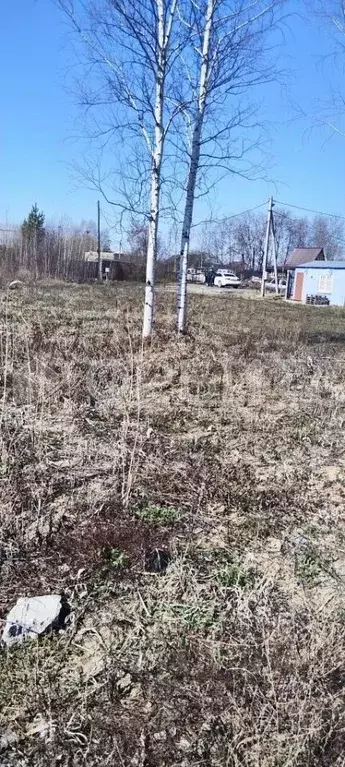 Участок в Тюменская область, Тюмень Садовое товарищество Липовый ... - Фото 2