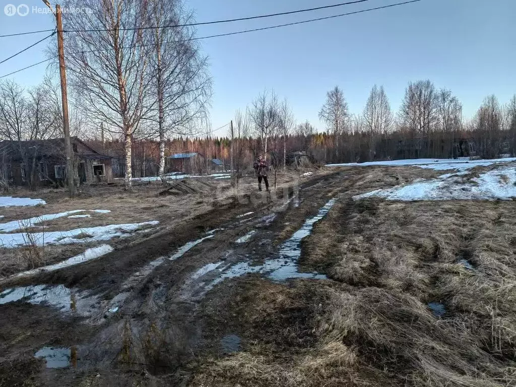 Участок в Республика Коми, городской округ Сыктывкар, посёлок Верхний ... - Фото 0