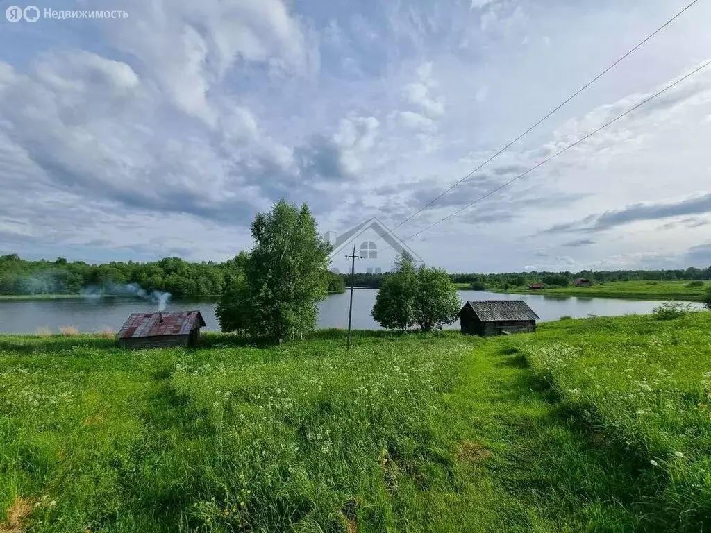 Дом в Новгородская область, Крестецкий муниципальный округ, деревня ... - Фото 2