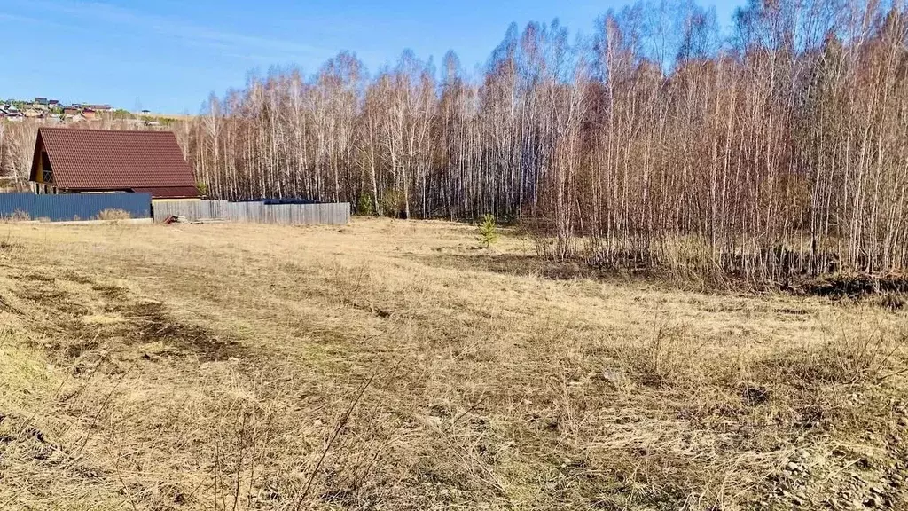 Участок в Иркутская область, Иркутский муниципальный округ, с. Мамоны, ... - Фото 1