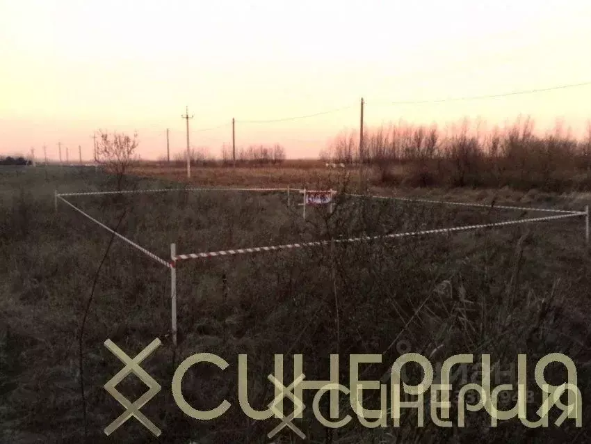 Участок в Ростовская область, Азовский район, Елизаветинское с/пос, ... - Фото 0