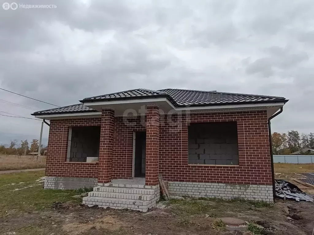 Дом в Новая Усмань, улица Кулибина, 1 (90 м) - Фото 1