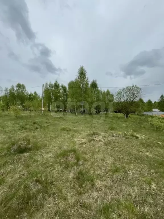 Участок в Калужская область, Калуга городской округ, с. Рябинки, ... - Фото 0