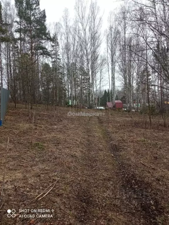 Участок в Кемеровская область, Прокопьевский район, пос. Большой ... - Фото 1