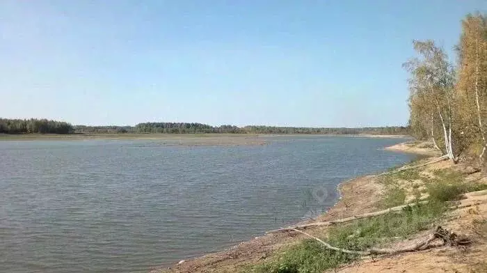 Участок в Московская область, Шаховская муниципальный округ, д. Сутоки ... - Фото 0