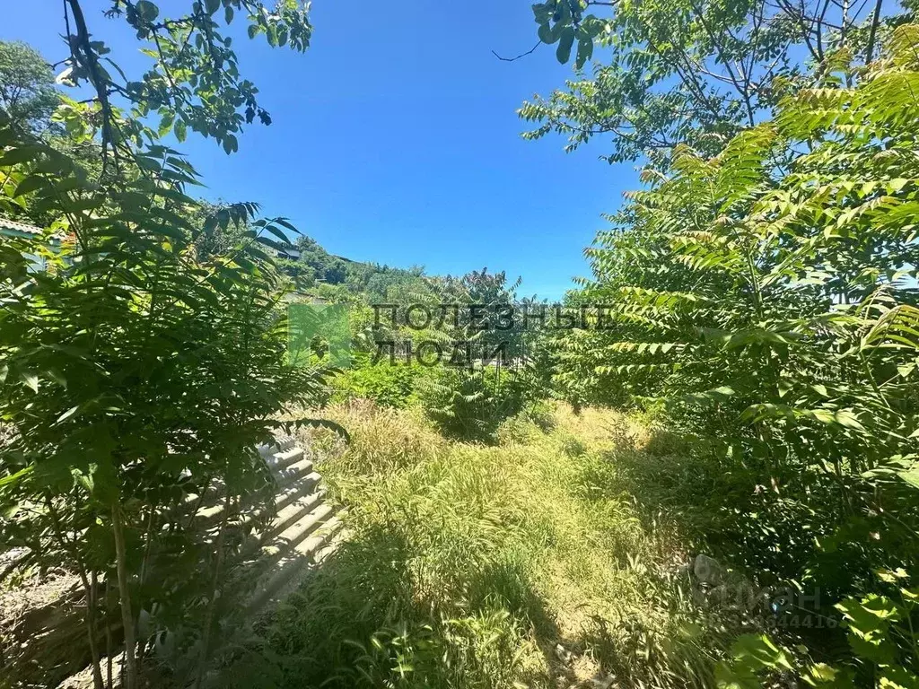 Дом в Севастополь ул. Синопская (55 м) - Фото 1