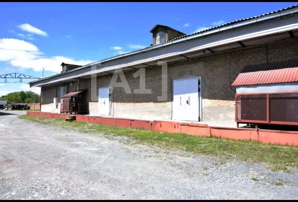 Склад в Челябинская область, Коркино ул. 30 лет ВЛКСМ, 140 (497 м) - Фото 1