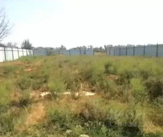 Участок в Астраханская область, Камызякский район, с. Чаган Восточная ... - Фото 1