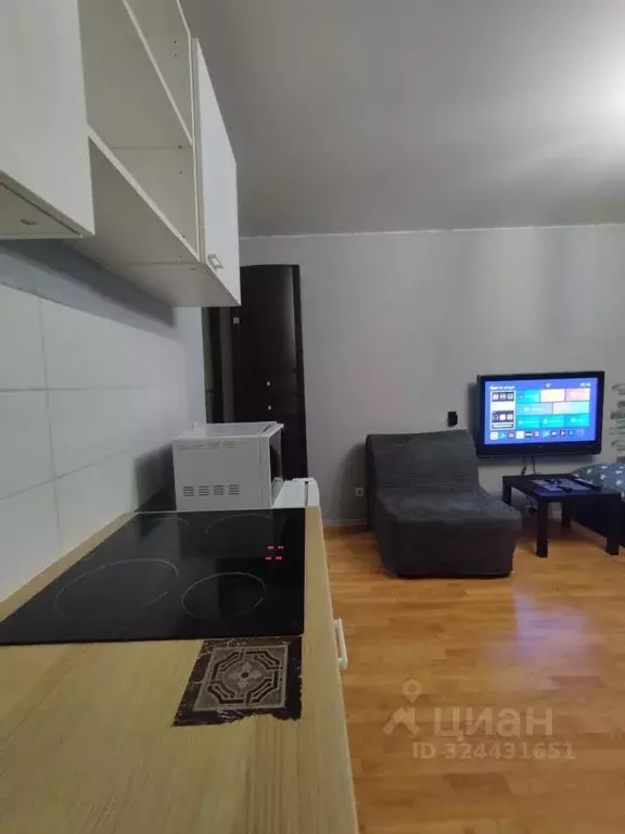 1-к кв. Московская область, Домодедово Южный мкр, ул. Курыжова, 16 ... - Фото 2