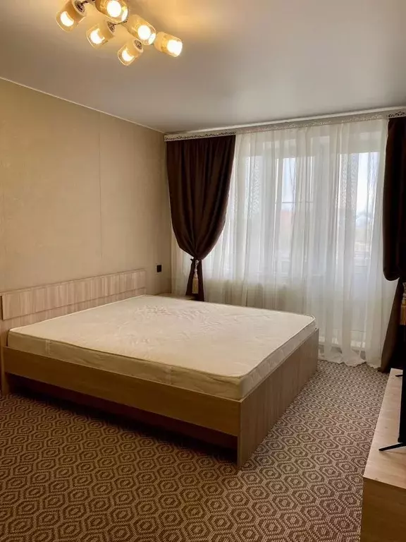 1-к кв. Московская область, Домодедово Центральный мкр, проезд ... - Фото 2