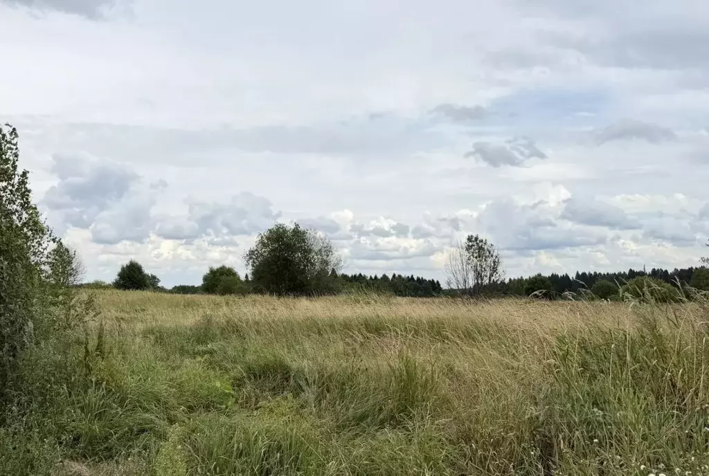 Участок в Московская область, Истра ул. Ленина, Река Истра (10.0 сот.) - Фото 1
