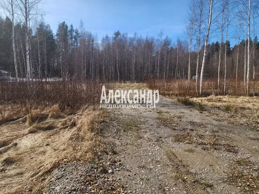 Участок в Ленинградская область, Приозерский район, Ларионовское ... - Фото 2