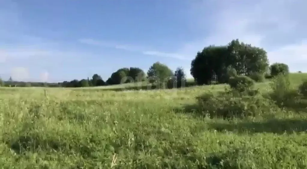 Участок в Ленинградская область, Всеволожский район, Куйвозовское ... - Фото 0