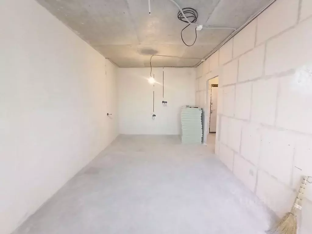 1-к кв. Пензенская область, Пензенский район, Засечный сельсовет, с. ... - Фото 2