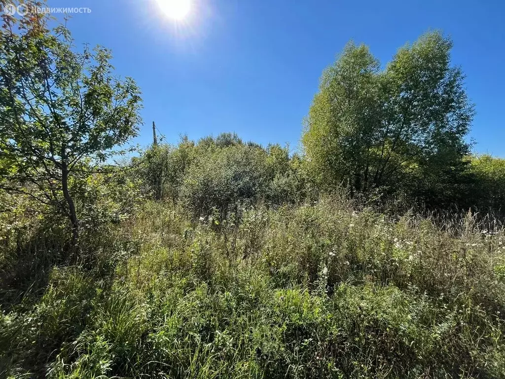 Участок в Суздальский район, село Новоалександрово (8 м) - Фото 1