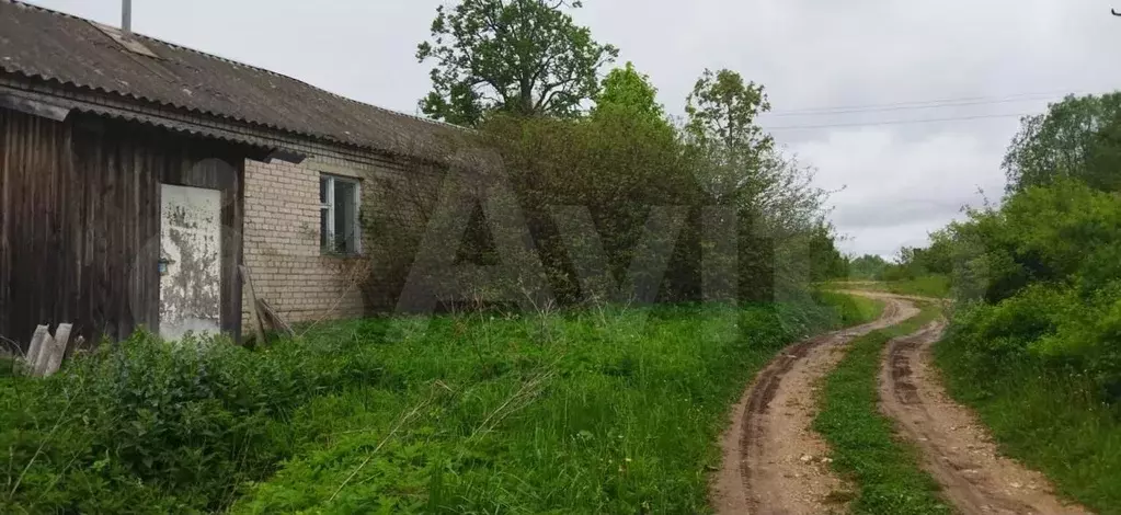 Своб. планировка, 60 м, 1/1 эт. - Фото 0