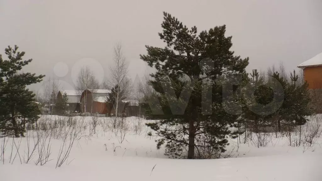 Участок 8 сот. (СНТ, ДНП) - Фото 0