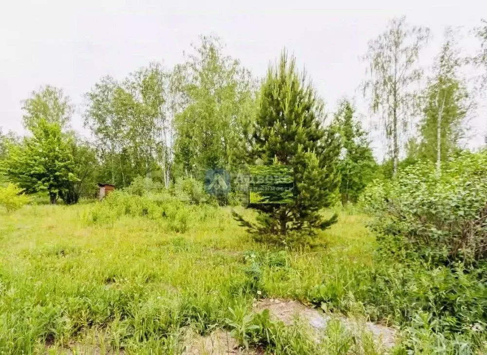 Участок в Тюменская область, Тюменский муниципальный округ, д. Елань ... - Фото 2