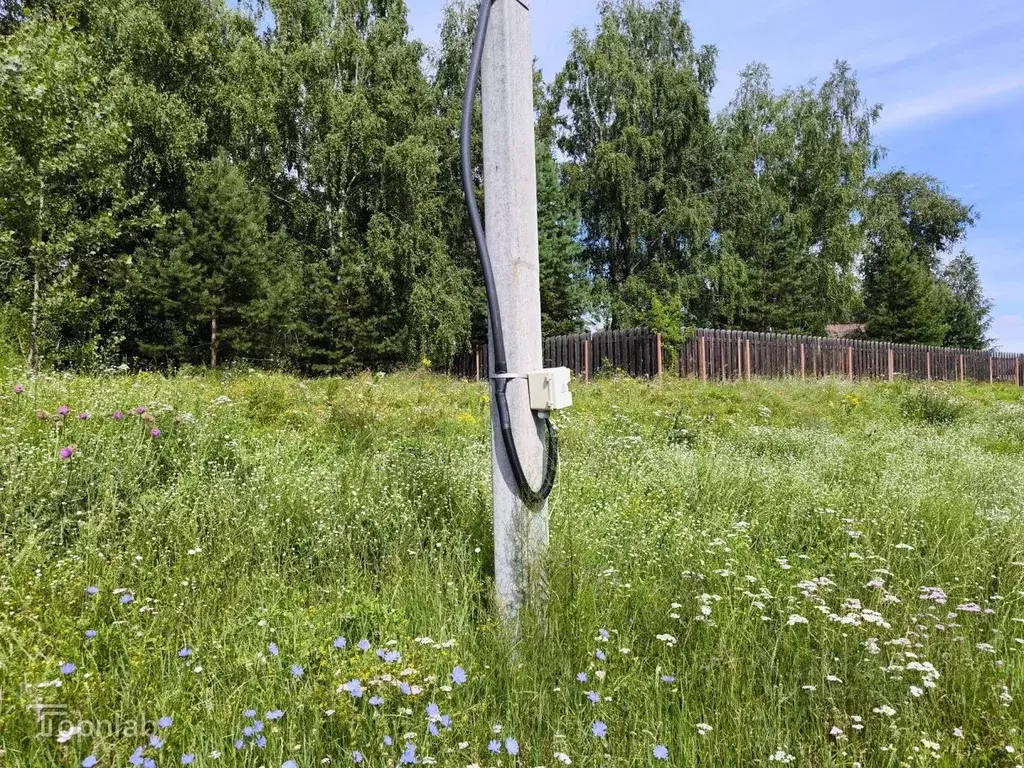 Участок в Алтайский край, Первомайский район, с. Бобровка, Березка мкр ... - Фото 2