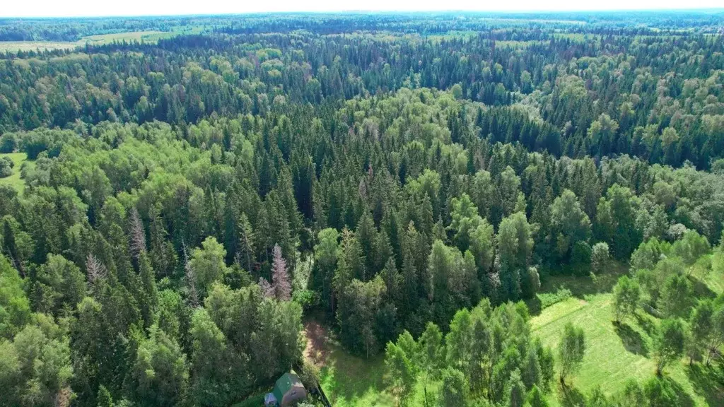 Участок в Московская область, Одинцовский городской округ, Рига лес кп ... - Фото 1
