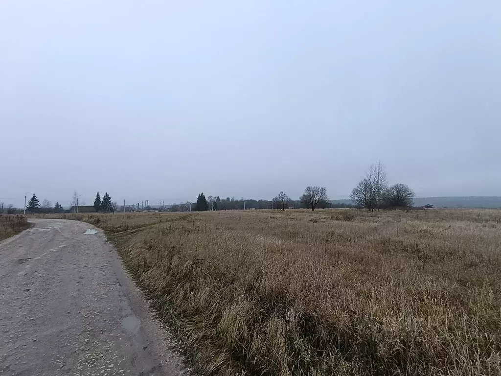 Участок в Тульская область, Веневский муниципальный округ, с. ... - Фото 2