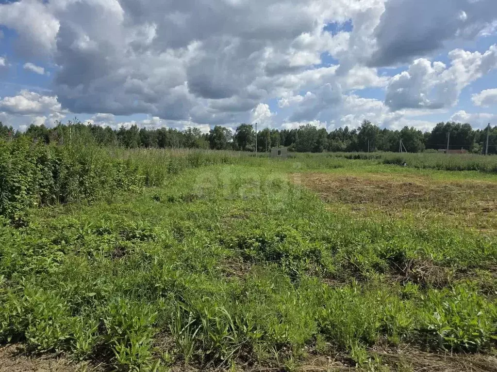 Участок в Тюменская область, Нижнетавдинский муниципальный округ, ... - Фото 1