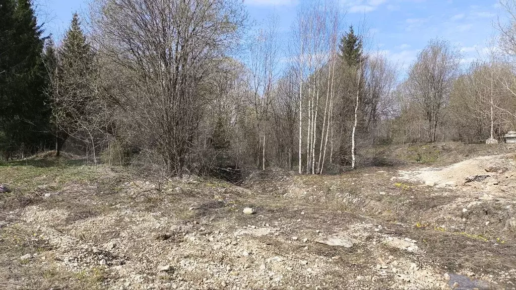 Участок 13,5 сот. (ИЖС) - Фото 1
