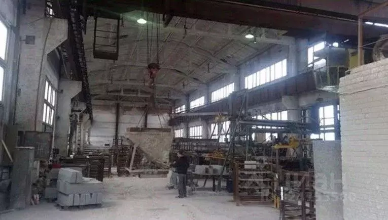 Производственное помещение в Ленинградская область, Приозерск ул. ... - Фото 1