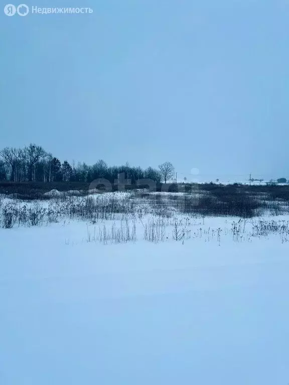 Участок в Калининградская область, Гвардейский муниципальный округ, ... - Фото 1