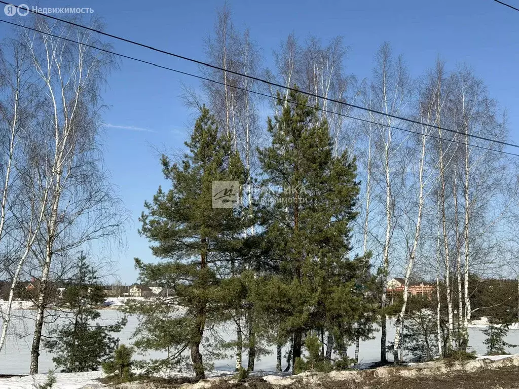 Участок в село Ямкино, Московская улица, 37 (15 м) - Фото 2