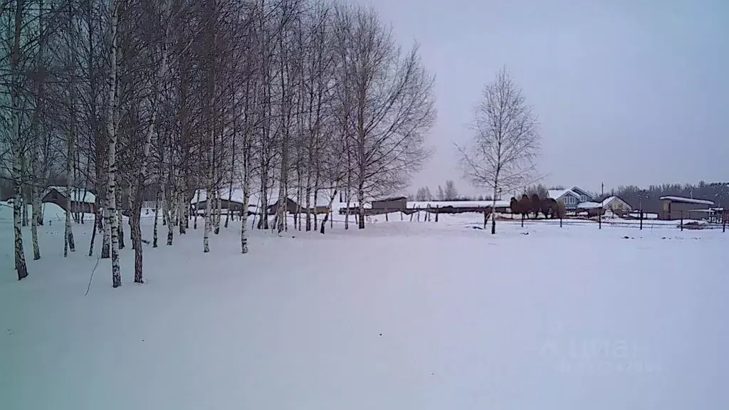 Участок в Московская область, Ступино городской округ, д. Прудно ул. ... - Фото 1