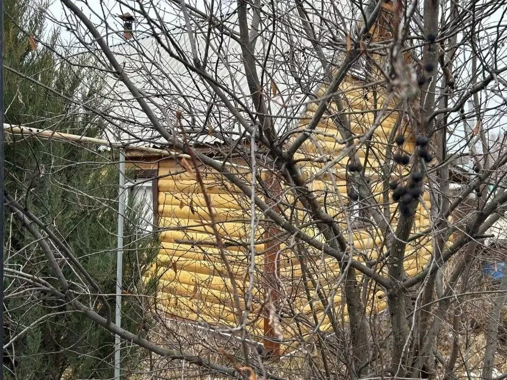Дом в Курганская область, Курган ул. Городская, 7 (44 м) - Фото 2