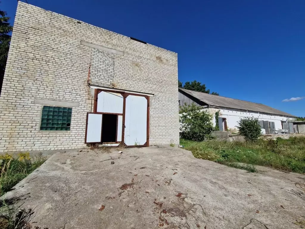 Производственное помещение в Курская область, Железногорский район, ... - Фото 1