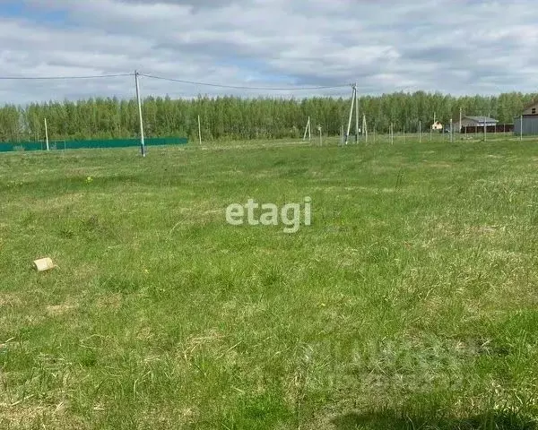 Участок в Владимирская область, Петушинский муниципальный округ, д. ... - Фото 1