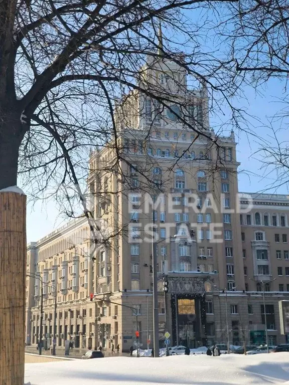 Помещение свободного назначения в Москва Большая Садовая ул., 5 (380 ... - Фото 1