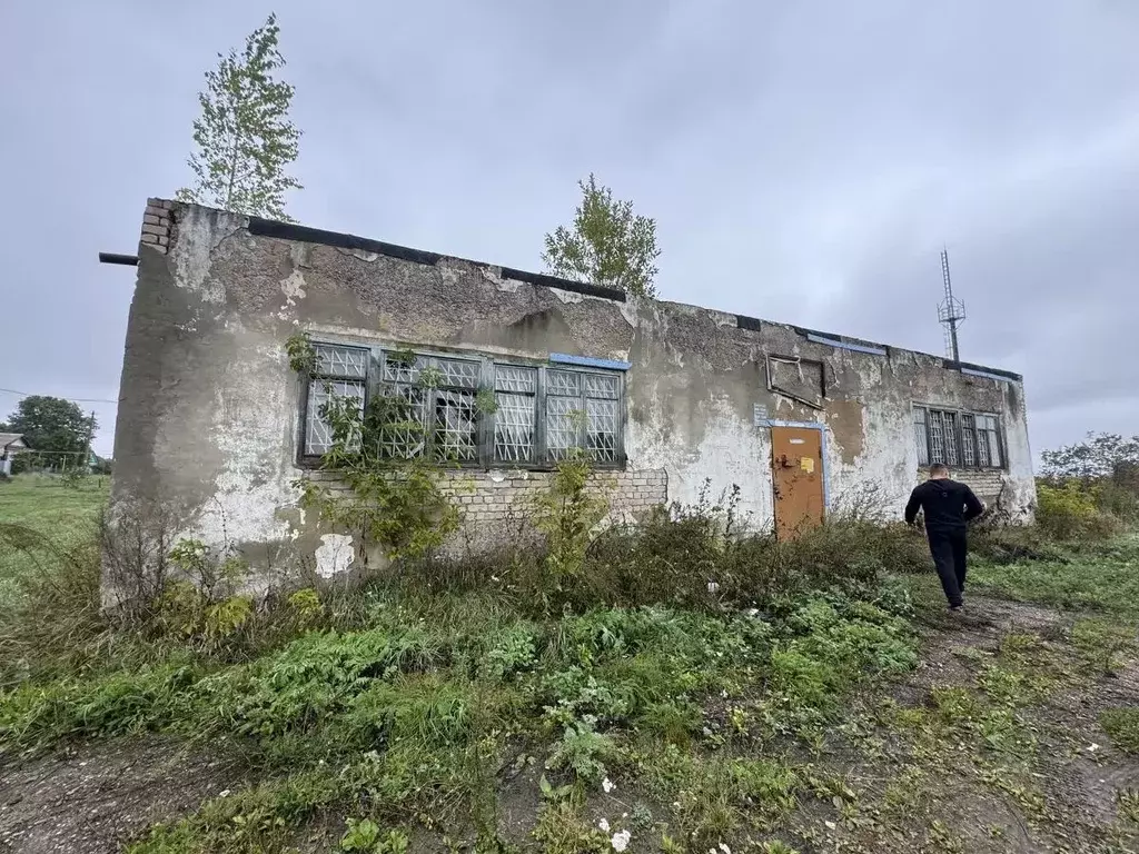 Торговая площадь в Мордовия, Ромодановский район, с. Курилово ... - Фото 2