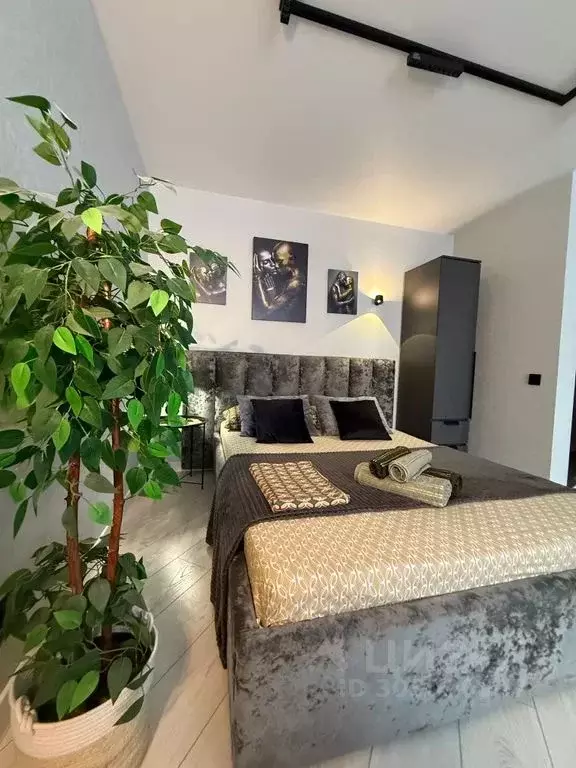 1-к кв. Чувашия, Чебоксары ул. Юрия Гагарина, 36 (33.0 м) - Фото 1