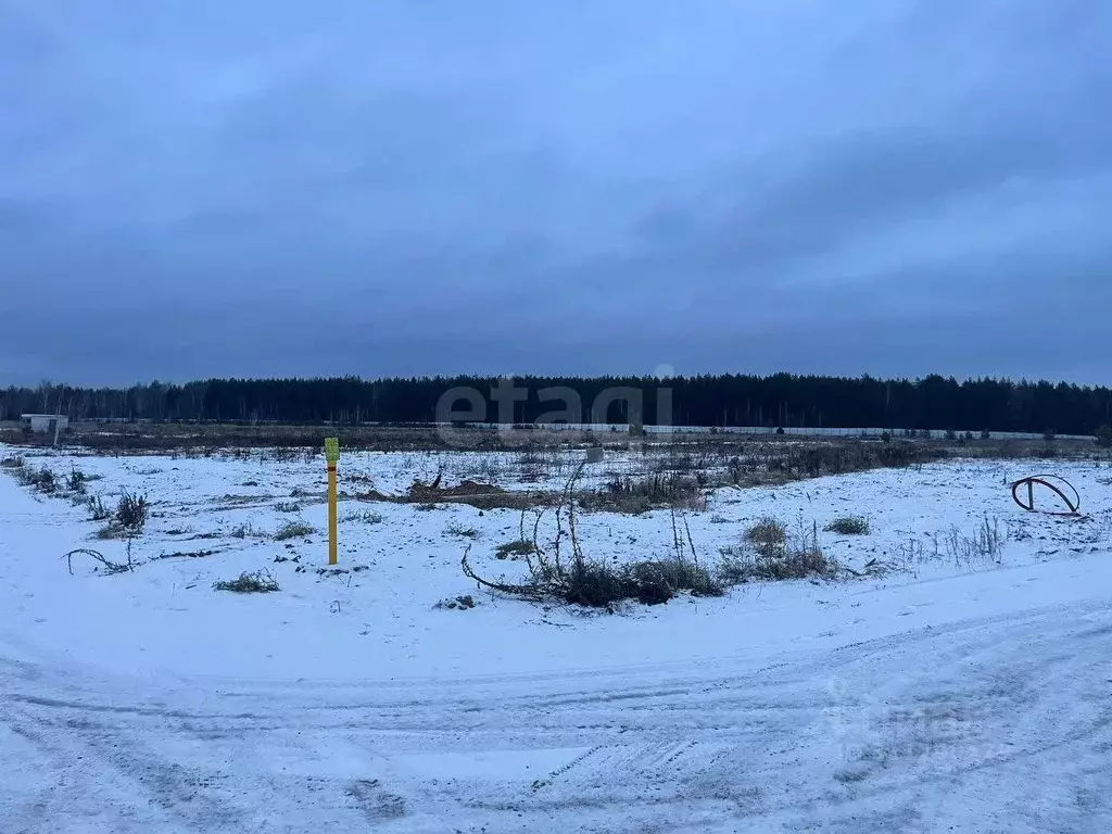 Участок в Татарстан, Казань ул. Истэлек (7.4 сот.) - Фото 1