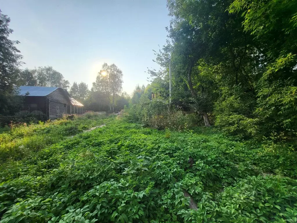 Участок в Московская область, Чехов Серпуховская ул., 8 (6.7 сот.) - Фото 2