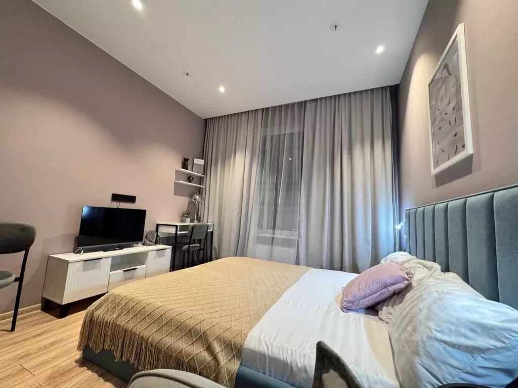 Студия Санкт-Петербург просп. Энергетиков, 8к2 (26.7 м) - Фото 2