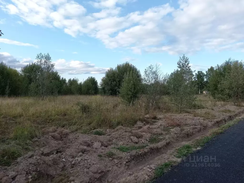 Участок в Московская область, Дмитровский муниципальный округ, пос. ... - Фото 2