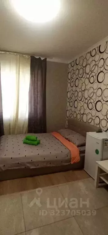 Студия Московская область, Щелково Богородский мкр, 2 (23.0 м) - Фото 2